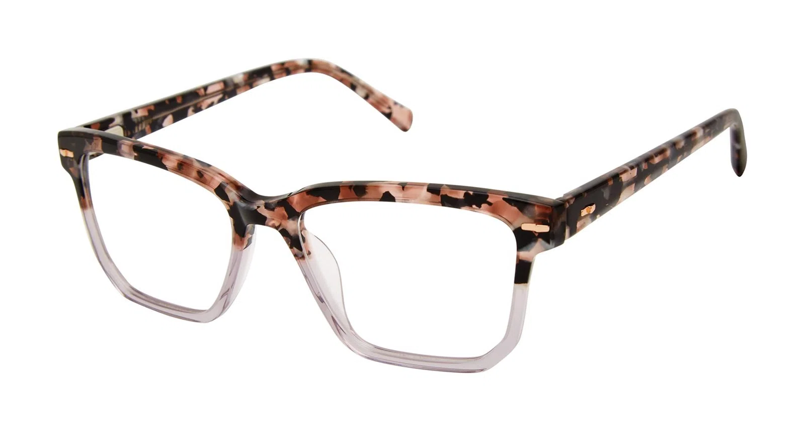 Ted Baker TW015 Eyeglasses